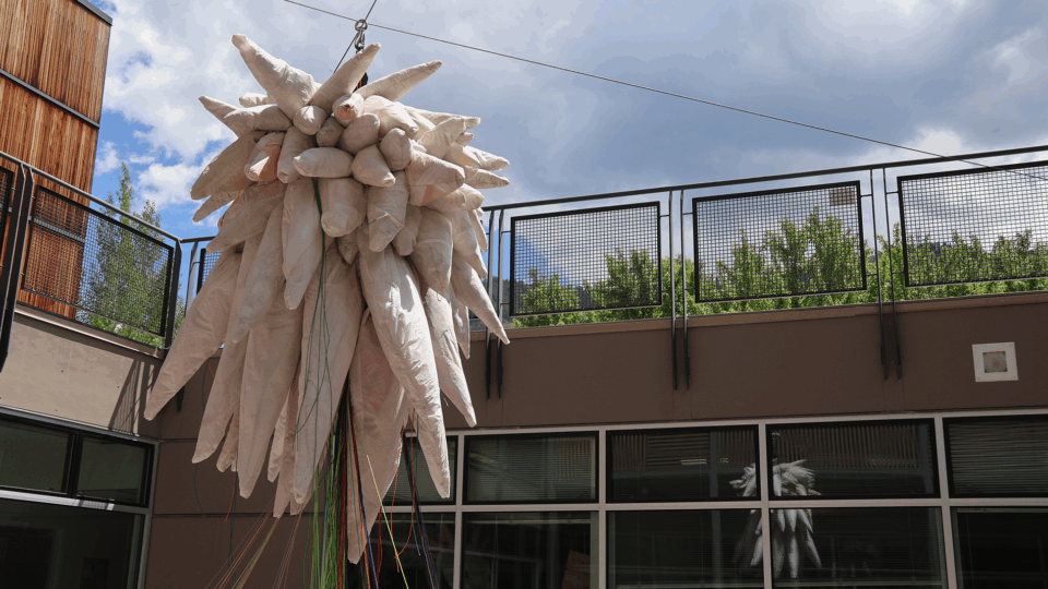 Art Installation of Indian Paintbrush sculpture